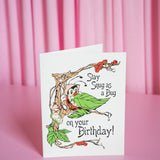 Stay Snug Card