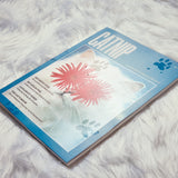Catnip Magazine Volume 2