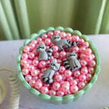 Raccoon Magnet Set