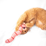 Worm Catnip Toy