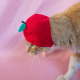 Cat Cap Blind Box - Fruit