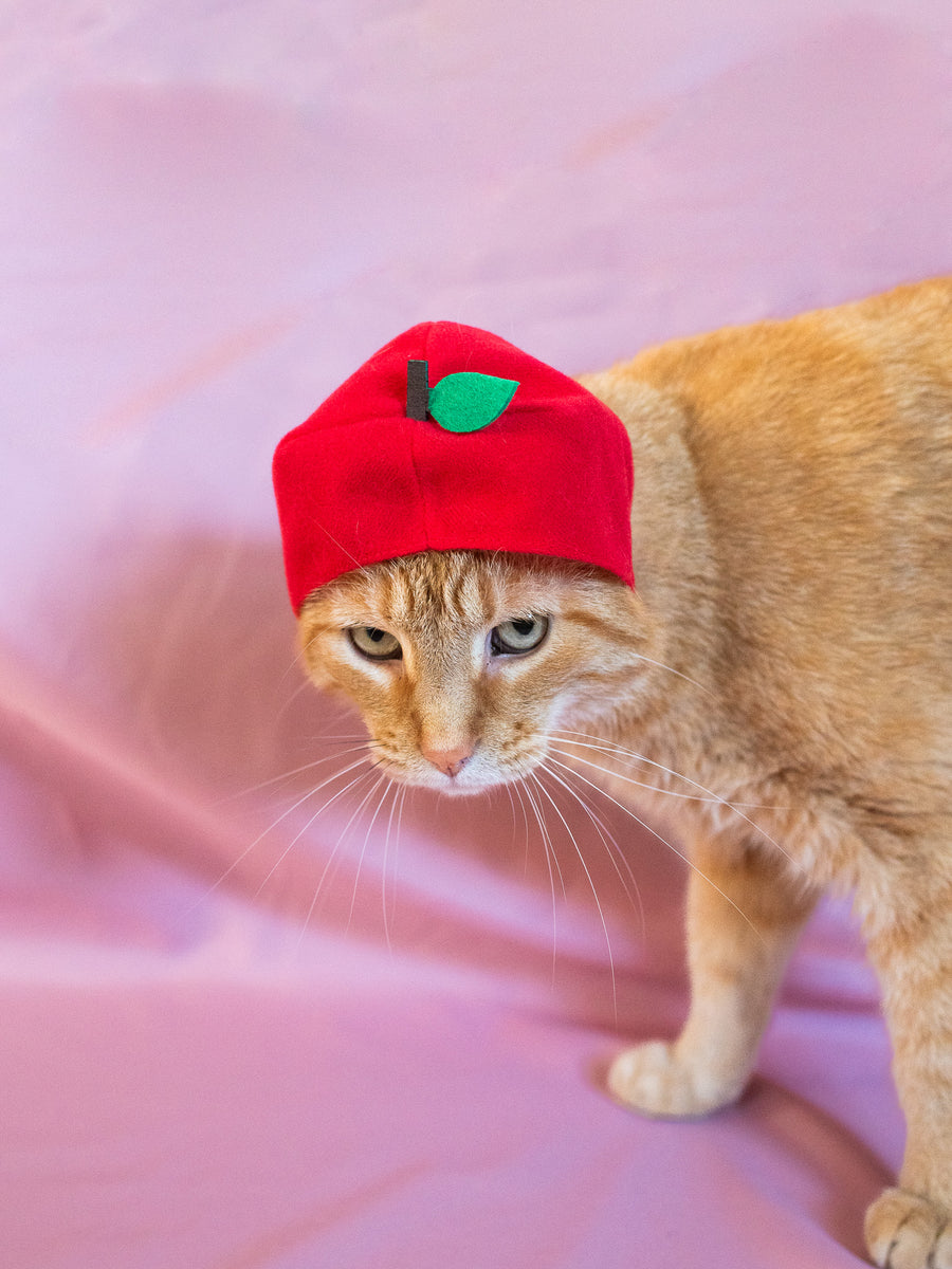 Cat Cap Blind Box - Fruit