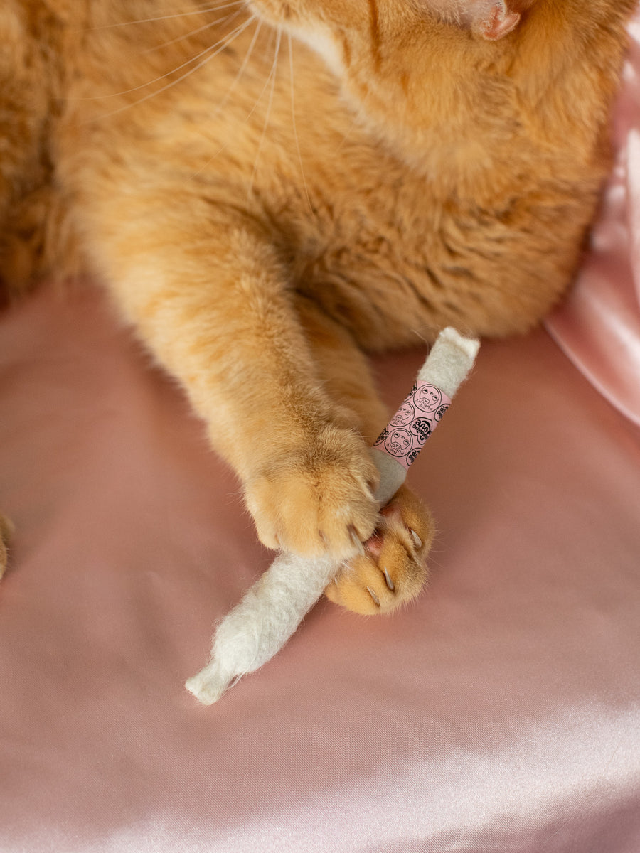 Catnip Joint Toy