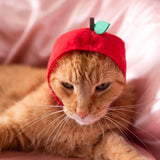 Cat Cap Blind Box - Fruit