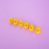 Duck Magnet Set