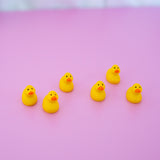 Duck Magnet Set