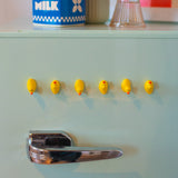 Duck Magnet Set