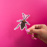 Coquette Cockroach Sticker