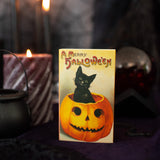Black Cat XL Matches
