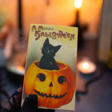 Black Cat XL Matches
