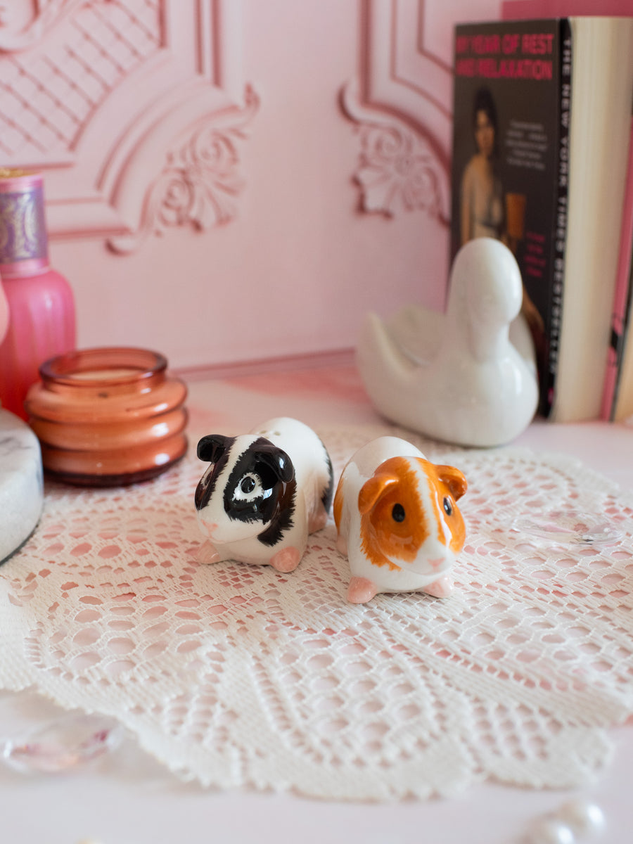 Guinea Pig Salt & Pepper Shaker