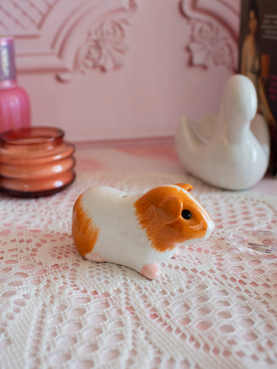 Guinea Pig Salt & Pepper Shaker