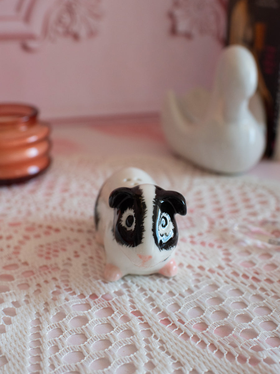 Guinea Pig Salt & Pepper Shaker