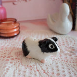 Guinea Pig Salt & Pepper Shaker