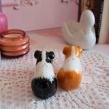 Guinea Pig Salt & Pepper Shaker