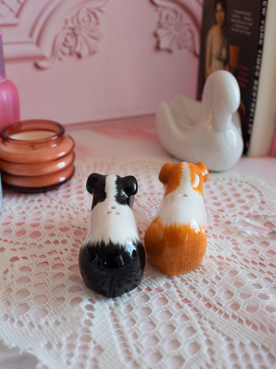 Guinea Pig Salt & Pepper Shaker