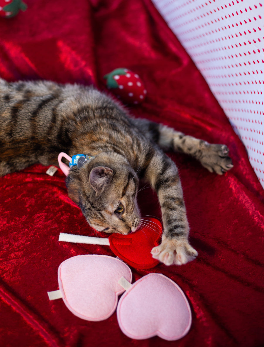 Heart Lolli Cat Toy