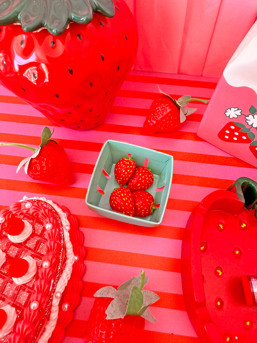 Strawberry Magnet Set