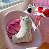 Cat Pillow