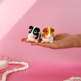 Guinea Pig Salt & Pepper Shaker