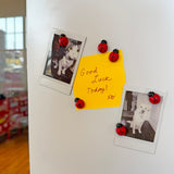 Ladybug Magnet Set