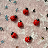 Ladybug Magnet Set