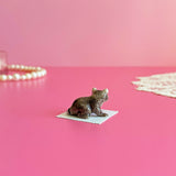 Raccoon Mini Porcelain Figurine